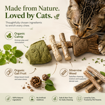 The Natural Chew Toy Cats Love